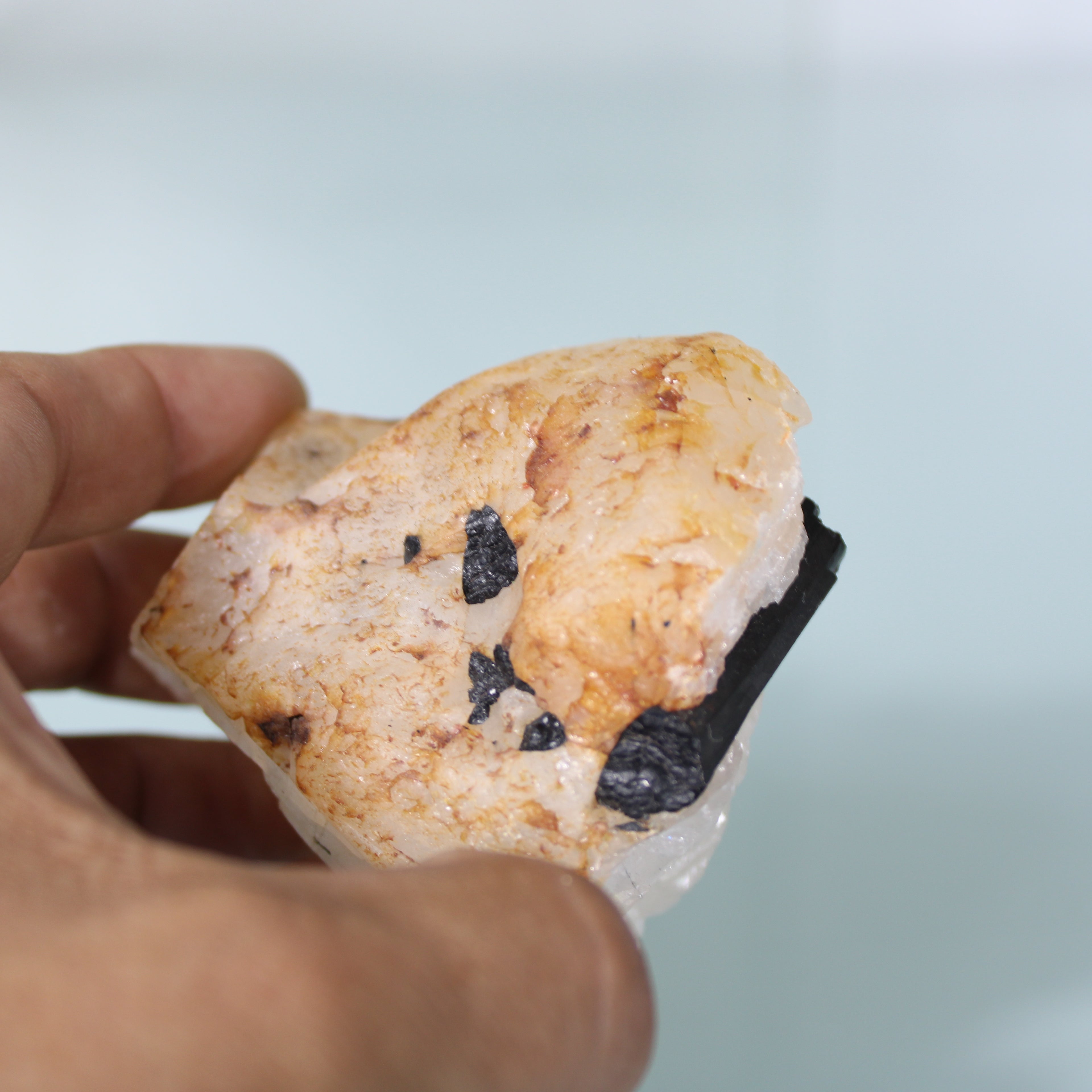 Black Tourmaline in Quartz Matrix – Intense Earth Contrast