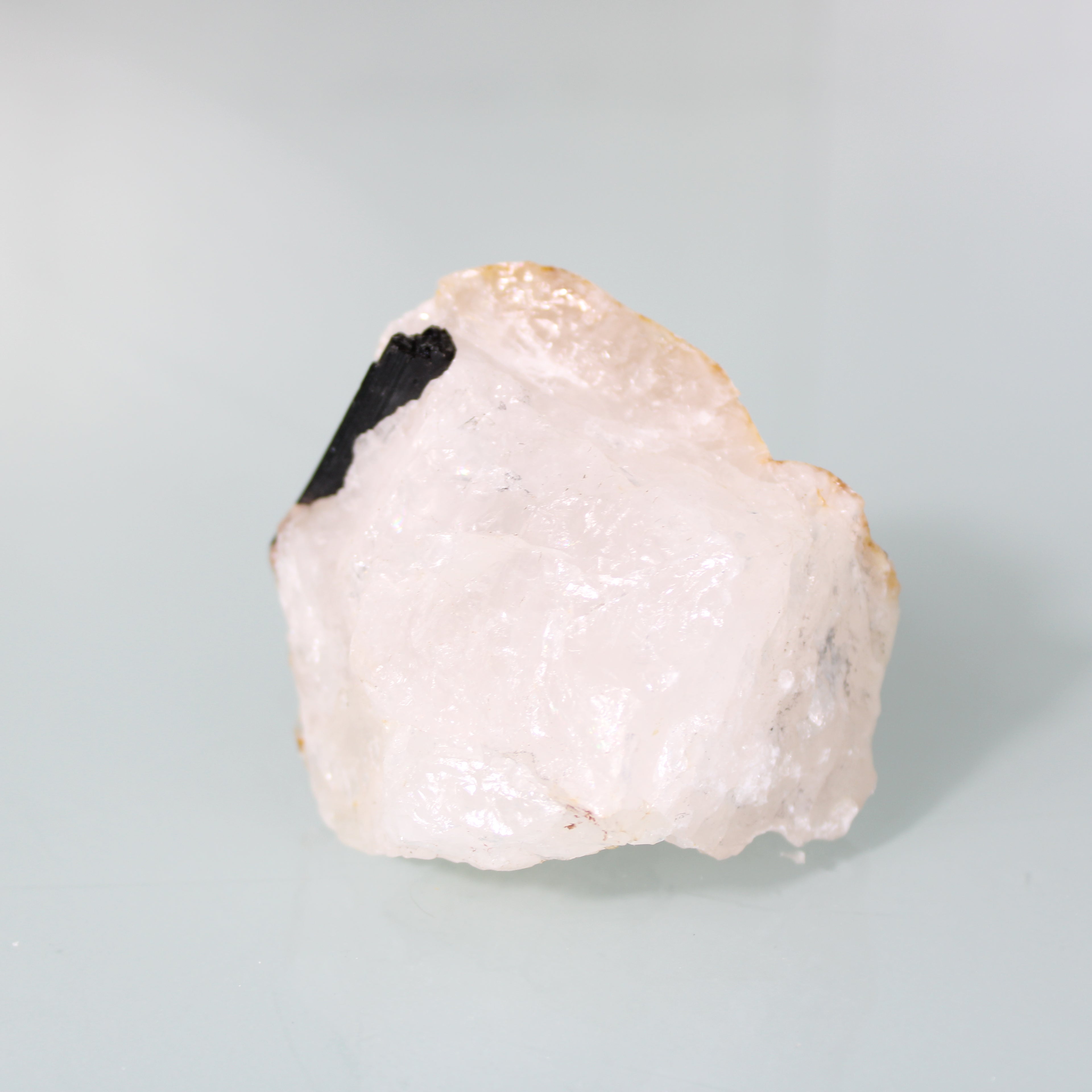 Black Tourmaline in Quartz Matrix – Intense Earth Contrast