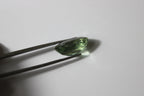 Prazolita Oval – 1 Unidade (14,56 ct)