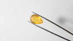 Opala de Fogo Gota – 1 Unidade (10,45 ct)